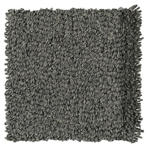 Chia Seeds 8507